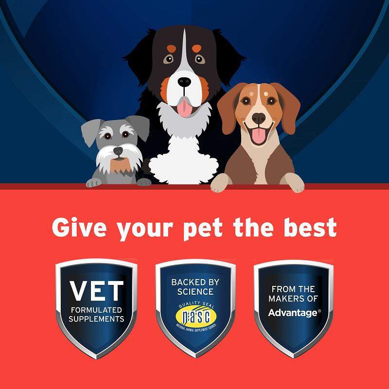Pet Protect Hip & Joint Synovi G3 Soft Chews for Dogs