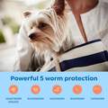 Interceptor Plus Chewable Tablets for Dogs