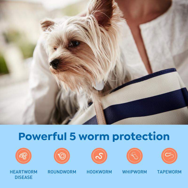 Interceptor Plus Chewable Tablets for Dogs