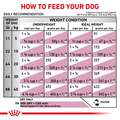 Royal Canin Veterinary Diet Adult Renal Support S Dry Dog Food