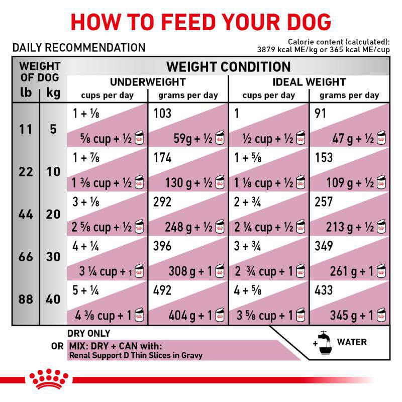 Royal Canin Veterinary Diet Adult Renal Support S Dry Dog Food