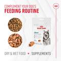 Royal Canin Adult Joint Chewable Supplements for Dogs, 60 Soft Chews