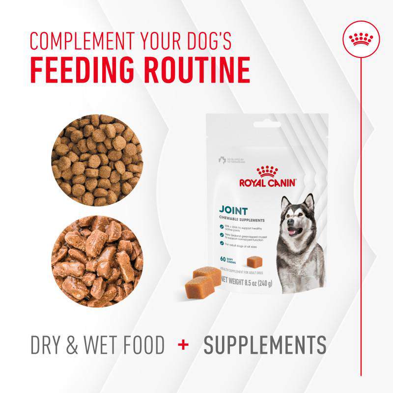 Royal Canin Adult Joint Chewable Supplements for Dogs, 60 Soft Chews