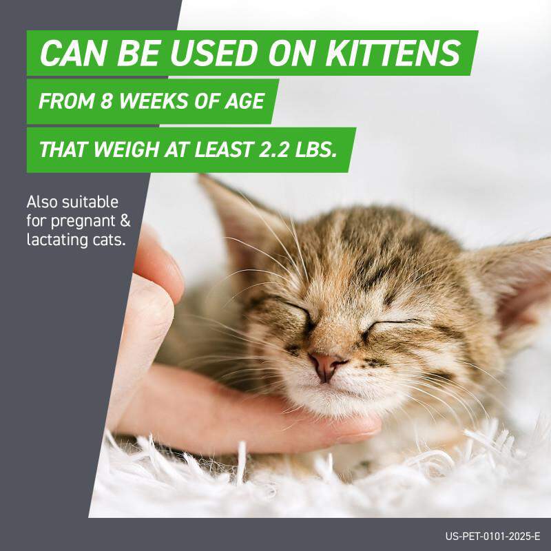 Frontline Plus for Cats and Kittens