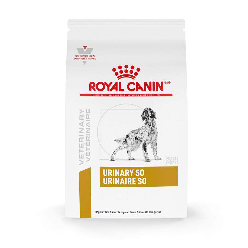 Royal Canin Veterinary Diet Adult Urinary SO Dry Dog Food
