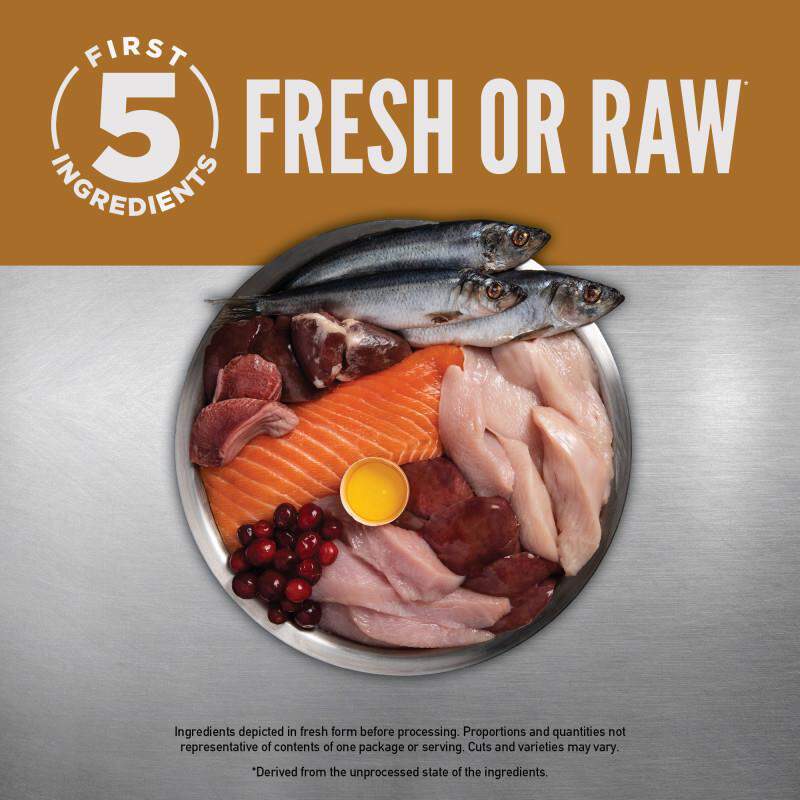 Orijen Original Cat Dry Food