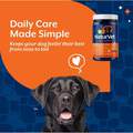 NaturVet Adult Dog Daily Care All-In-One Supplement with 10-in-1 Support, Hickory Smoked Bacon Flavor, 60 Soft Chews