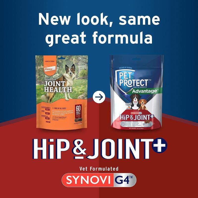 Pet Protect Hip & Joint + Synovi G4 Soft Chews for Dogs