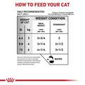 Royal Canin Veterinary Diet Adult Glycobalance Thin Slices in Gravy Canned Cat Food, 24 x 3 oz cans