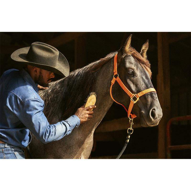 Zoetis Quest Equine Gel for Horses with Worms, 1 syringe, 0.04 ounces