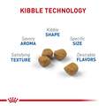 Royal Canin Feline Health Nutrition Indoor 7+ Adult Dry Cat Food
