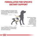 Royal Canin Veterinary Diet Adult Urinary SO Dry Dog Food