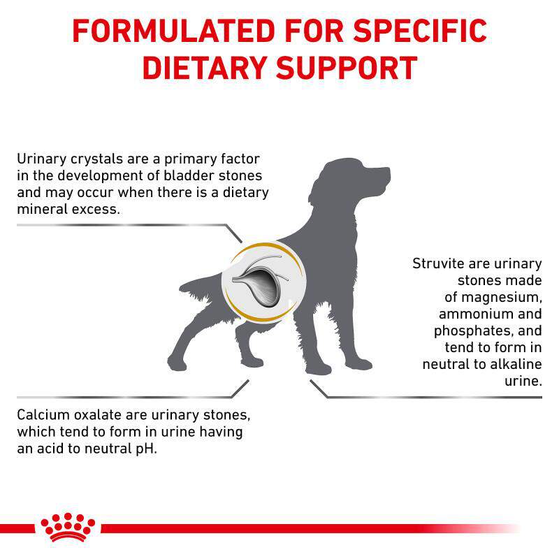 Royal Canin Veterinary Diet Adult Urinary SO Dry Dog Food