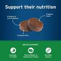 Pet Protect Digestive Health Lactoquil Soft Chews for Dogs, 60 Ct.
