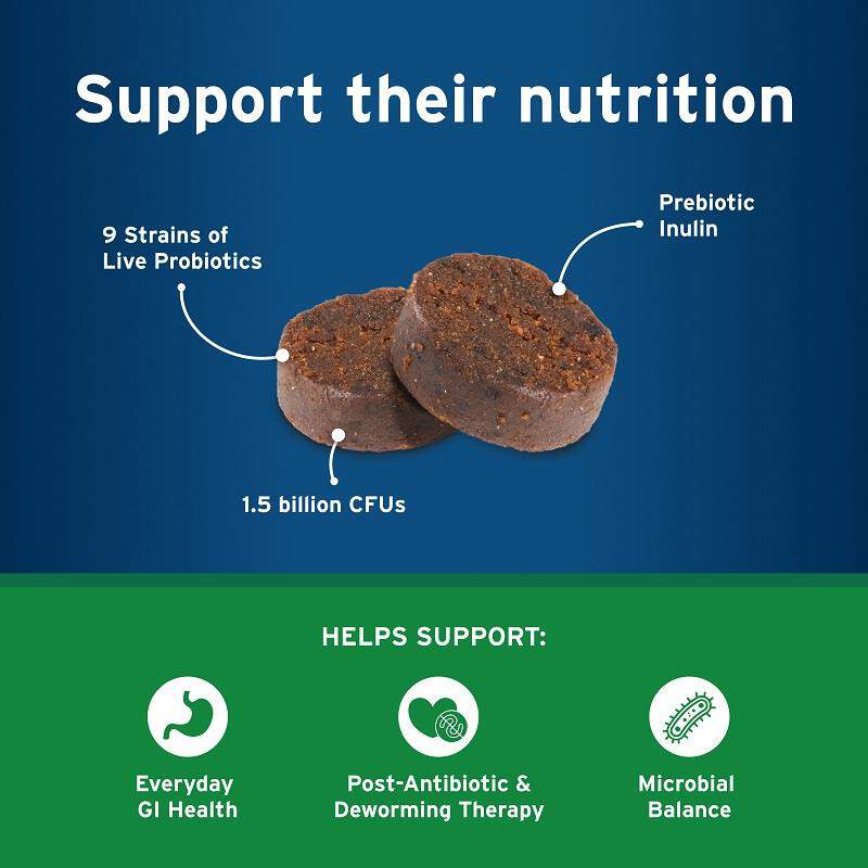 Pet Protect Digestive Health Lactoquil Soft Chews for Dogs, 60 Ct.