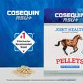 Cosequin ASU Plus Joint Health Supplement Pellets for Horses, 1050 g