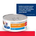 Hill's Prescription Diet c/d Multicare Stress Urinary Care with Tuna Canned Cat Food, 24 x 5.5 oz cans