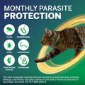 NexGard COMBO Topical for Cats and Kittens