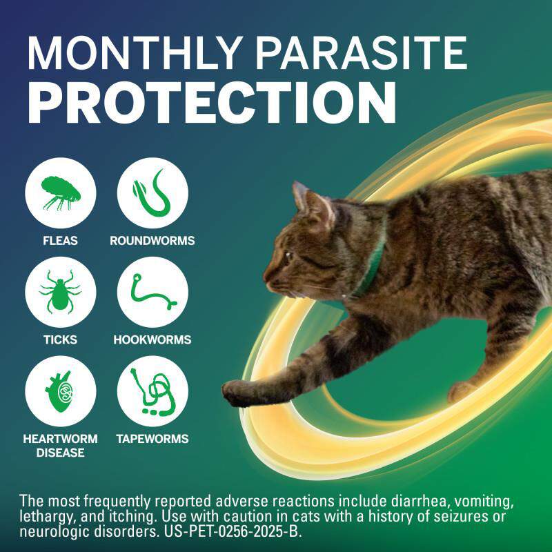 NexGard COMBO Topical for Cats and Kittens