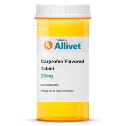 Carprofen Flavored Tablet (Generic)