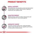 Royal Canin Veterinary Diet Adult Renal Support F Dry Cat Food