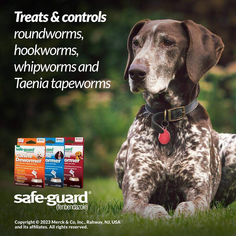 Safe-Guard Canine Dewormer