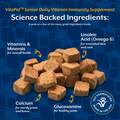NaturVet VitaPet Senior Daily Vitamins Plus Glucosamine for Dogs, 60 Soft Chews
