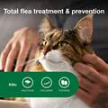 Advantage II for Cats