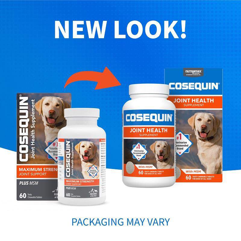 Cosequin Chews Plus MSM