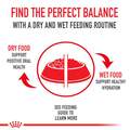 Royal Canin Veterinary Diet Adult Multifunction Urinary SO + Hydrolyzed Protein Dry Dog Food