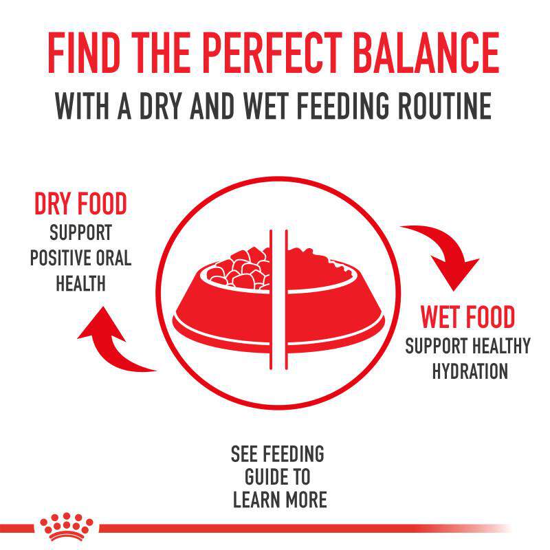 Royal Canin Veterinary Diet Adult Multifunction Urinary SO + Hydrolyzed Protein Dry Dog Food
