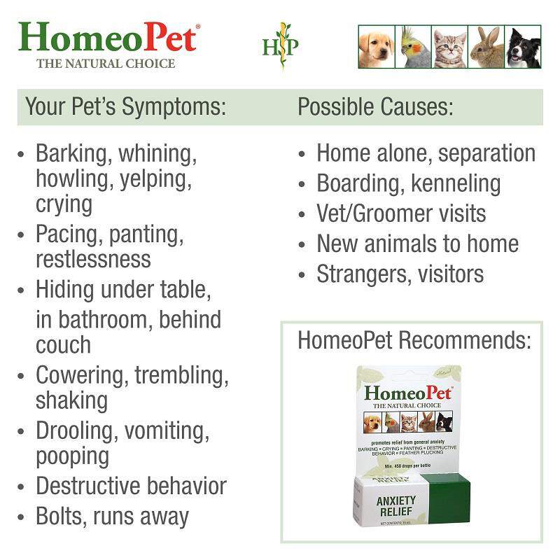 HomeoPet Anxiety Relief