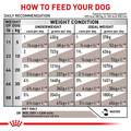 Royal Canin Veterinary Diet Adult Gastrointestinal Low Fat Canned Dog Food Wet Loaf, 13.5 oz cans
