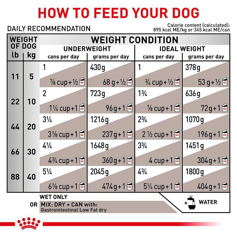 Royal Canin Veterinary Diet Adult Gastrointestinal Low Fat Canned Dog Food Wet Loaf, 13.5 oz cans