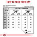 Royal Canin Veterinary Diet Adult Urinary SO Dry Cat Food