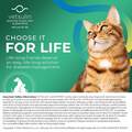 Vetsulin Insulin for Dogs and Cats 10 ml Vial