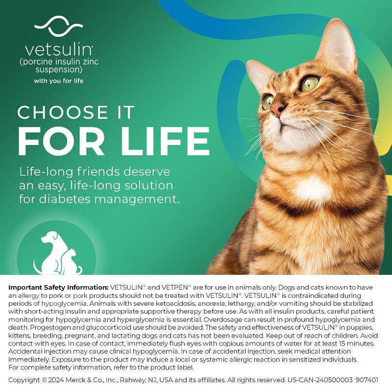 Vetsulin Insulin for Dogs and Cats 10 ml Vial