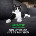 Welactin Feline Omega-3 Liquid Supplement, 4 oz