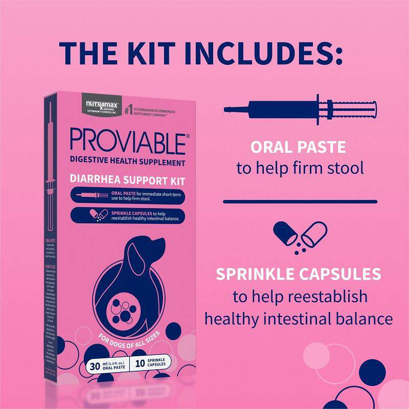 Proviable KP Paste + 10 Caps for Dogs and Cats