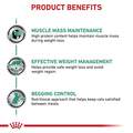 Royal Canin Veterinary Diet Adult Satiety Support Weight Management Loaf in Sauce Canned Cat Food, 24 x 5.1 oz cans