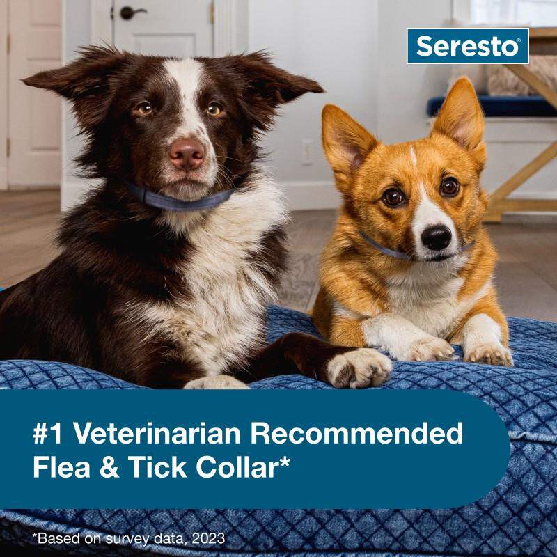Seresto for Dogs