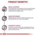 Royal Canin Veterinary Diet Adult Renal Support D Thin Slices in Gravy Canned Cat Food, 3 oz cans