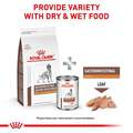 Royal Canin Veterinary Diet Adult Gastrointestinal Low Fat Canned Dog Food Wet Loaf, 13.5 oz cans