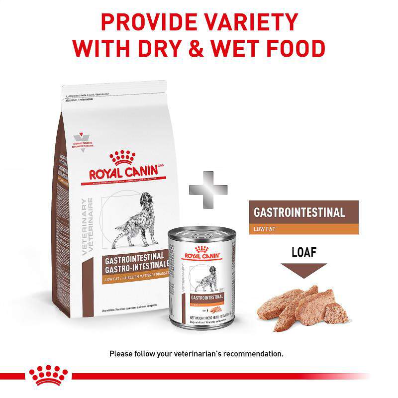 Royal Canin Veterinary Diet Adult Gastrointestinal Low Fat Canned Dog Food Wet Loaf, 13.5 oz cans
