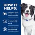 Hill's Prescription Diet t/d Dental Care Chicken Flavor Dry Dog Food, 25 lbs
