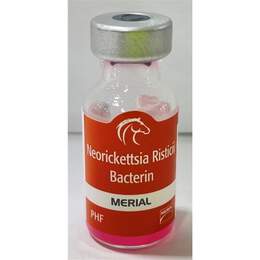 Equine Potomavac 1 ds (1 ml )