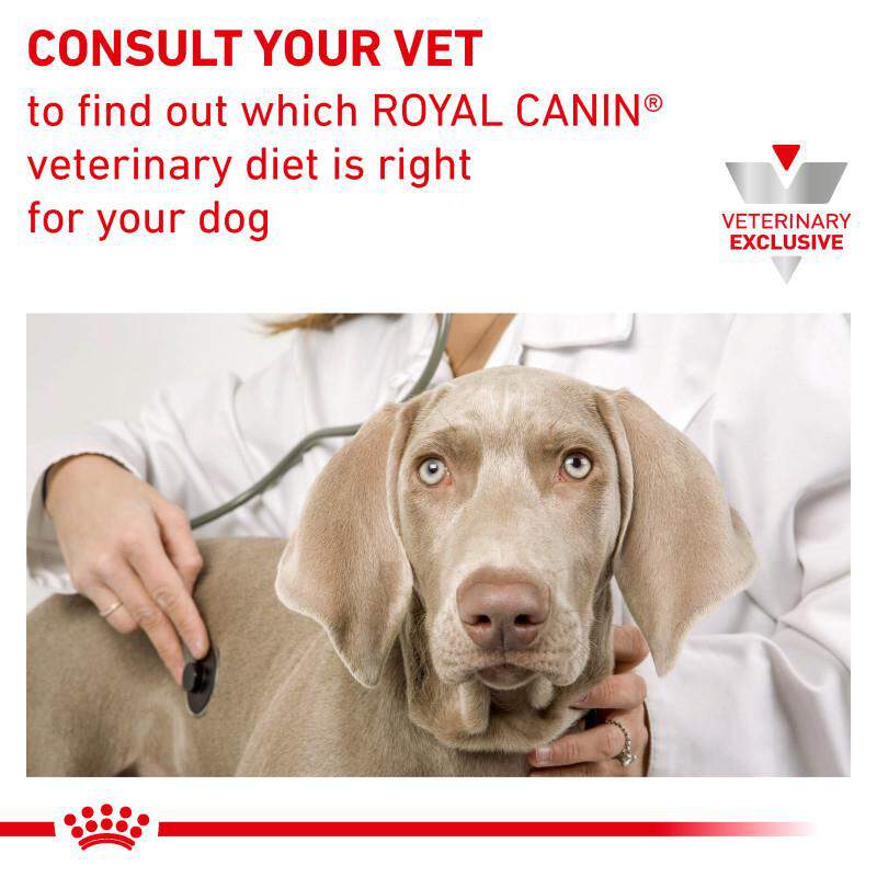 Royal Canin Veterinary Diet Adult Advanced Mobility Support Canned Dog Food, 24 x 13.5 oz cans