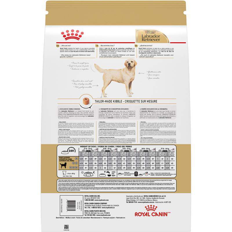 Royal Canin Breed Health Nutrition Labrador Retriever Adult Dry Dog Food