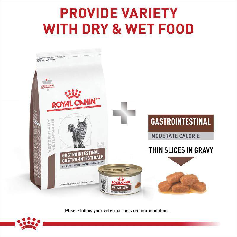 Royal Canin Veterinary Diet Adult Gastrointestinal Moderate Calorie Thin Slices in Gravy Canned Cat Food, 24 x 3 oz cans