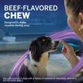 NexGard PLUS Chewables for Dogs